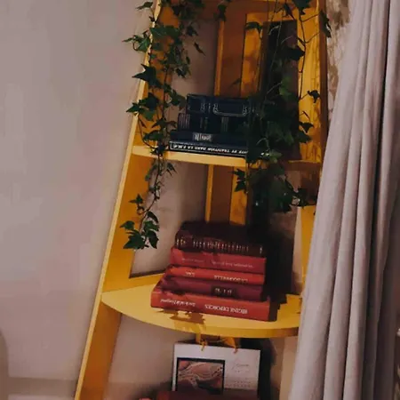 Cozy Loft Center Croix-rousse *