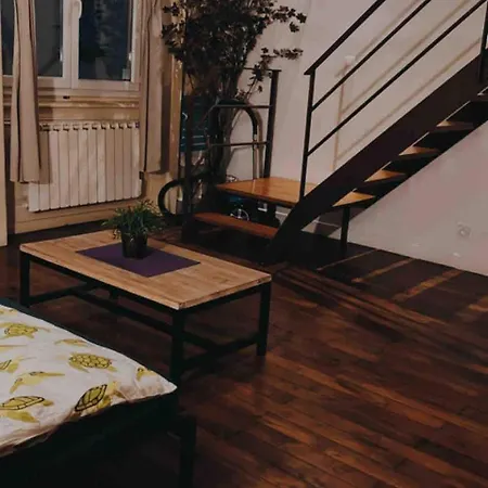 Cozy Loft Center Croix-rousse Apartment